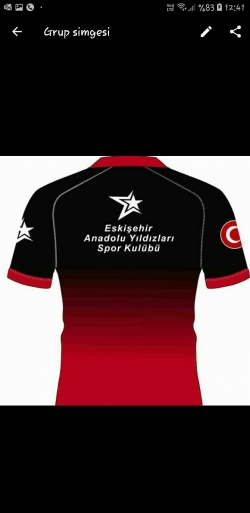 ESKİŞEHİR ANADOLU YILDIZLARI SPOR KULÜBÜ DERNEĞİ